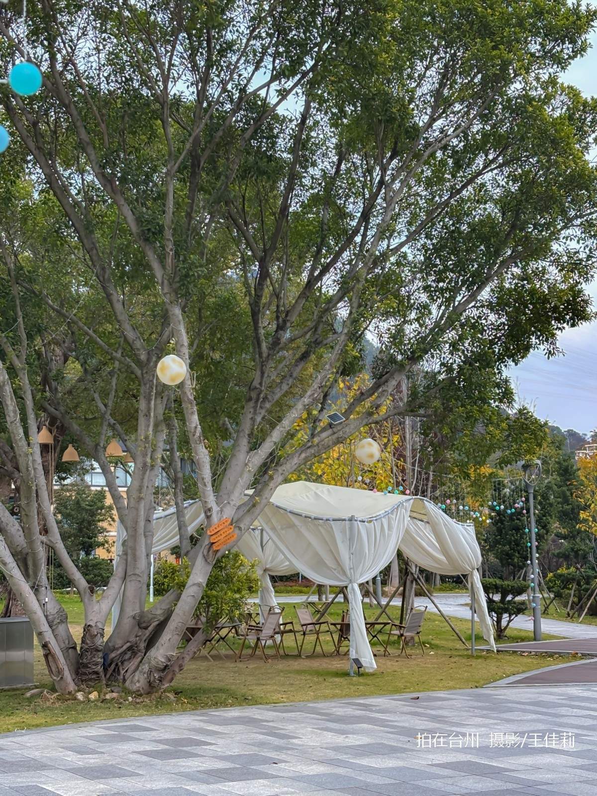 路桥区泊屿咖啡馆：都市休闲与自然融合的影视取景地(图8)