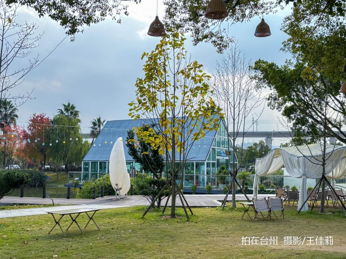 路桥区泊屿咖啡馆：都市休闲与自然融合的影视取景地(图4)
