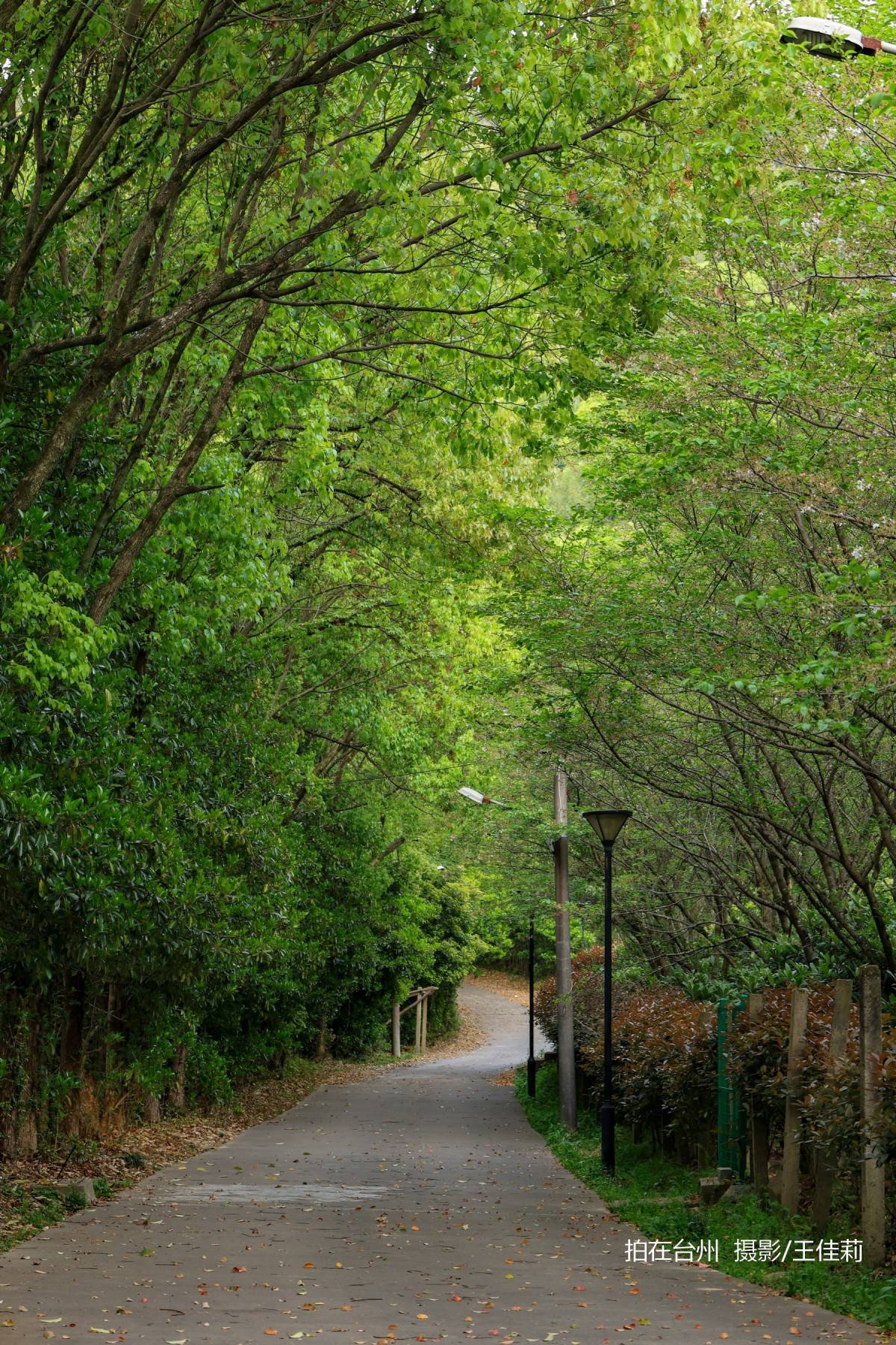 中央山路桥公园：台州生态人文双价值影视取景点位(图2)