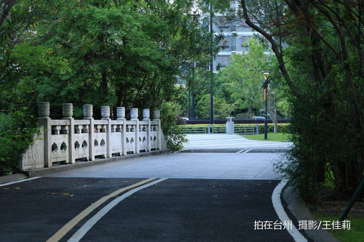 中央山路桥公园：台州生态人文双价值影视取景点位(图4)