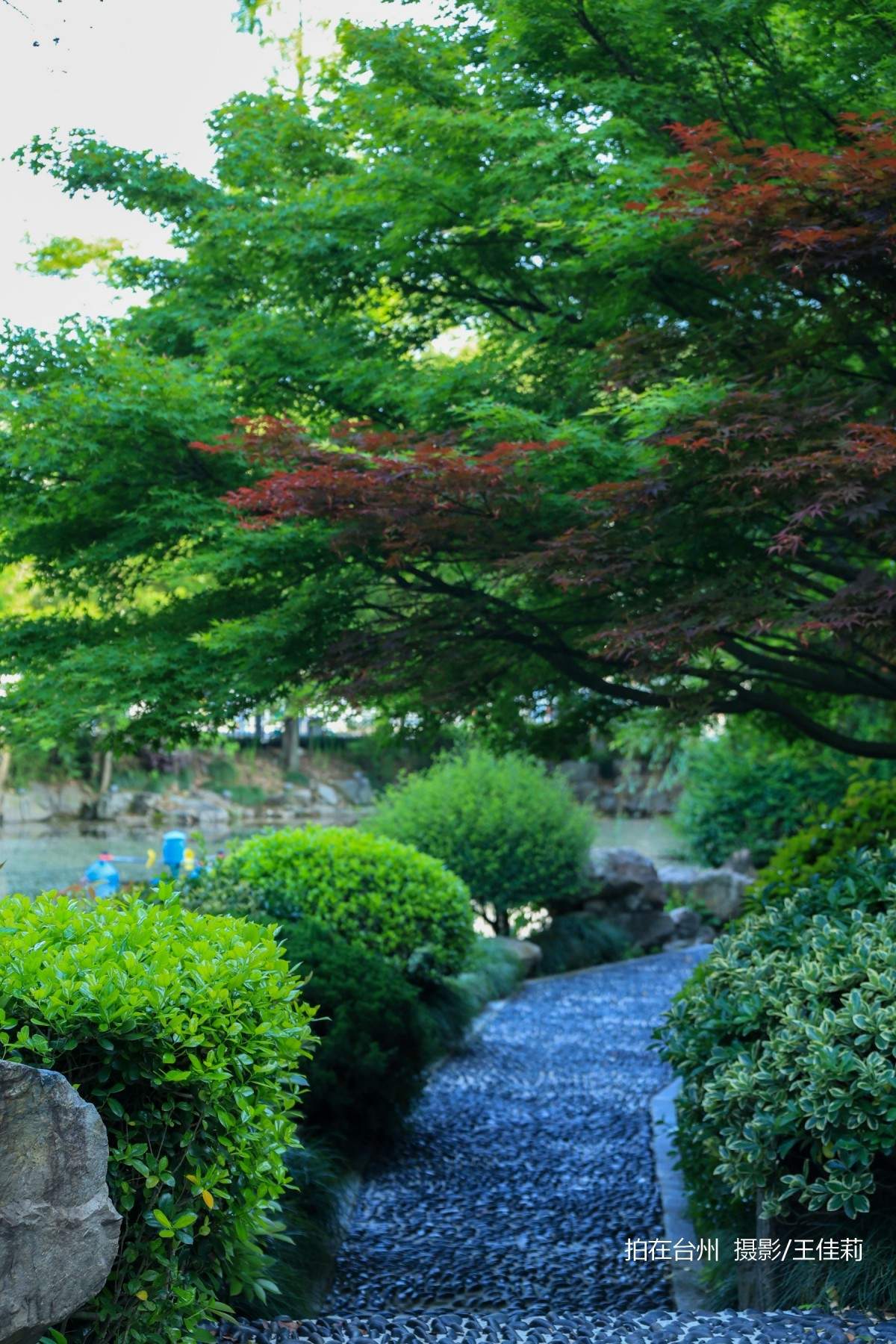 中央山路桥公园：台州生态人文双价值影视取景点位(图6)