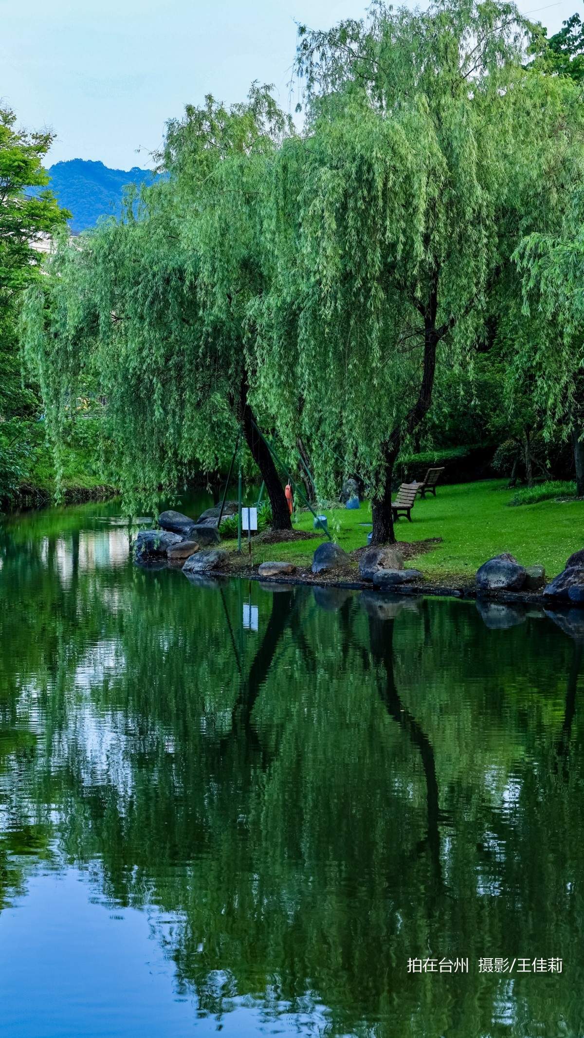 中央山路桥公园：台州生态人文双价值影视取景点位(图5)