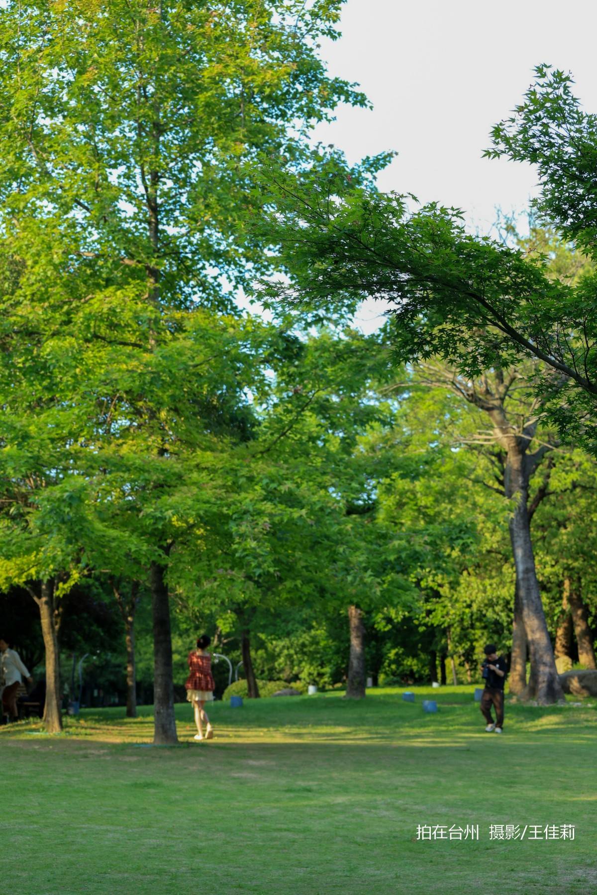 中央山路桥公园：台州生态人文双价值影视取景点位(图9)
