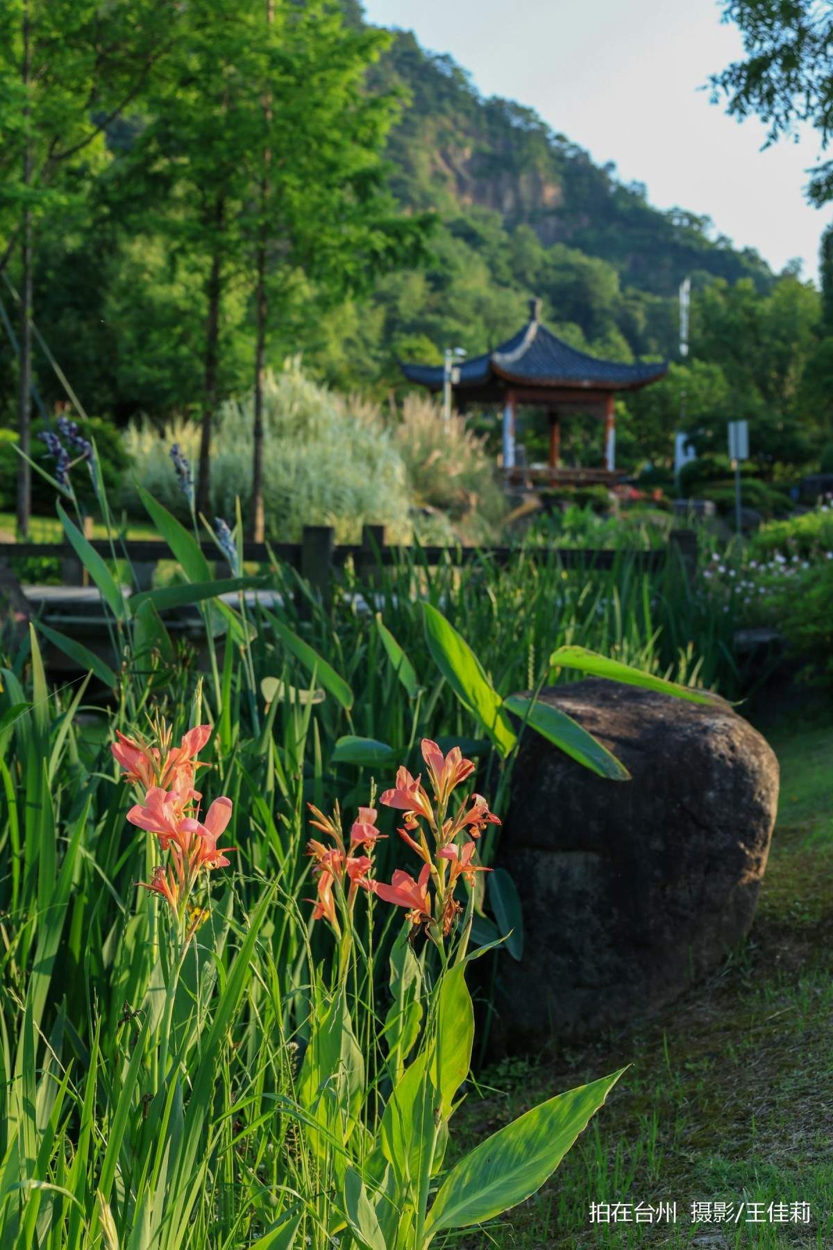 中央山路桥公园：台州生态人文双价值影视取景点位(图10)