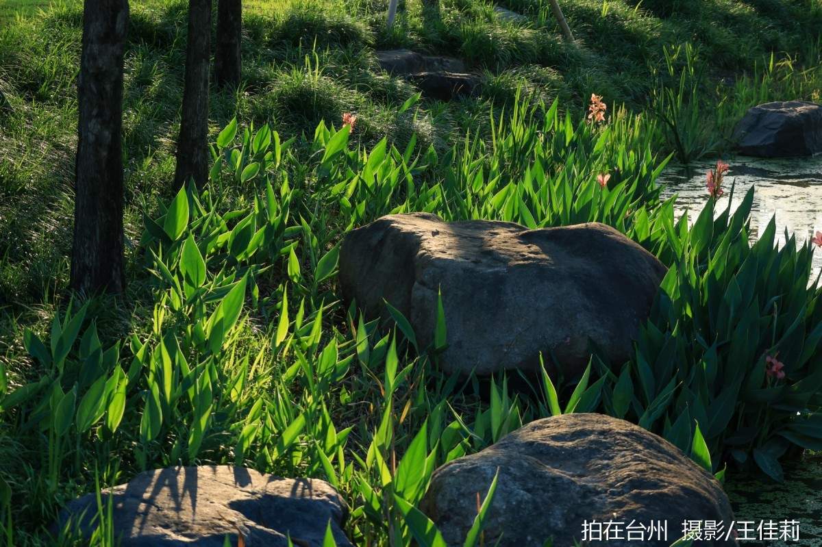 中央山路桥公园：台州生态人文双价值影视取景点位(图12)