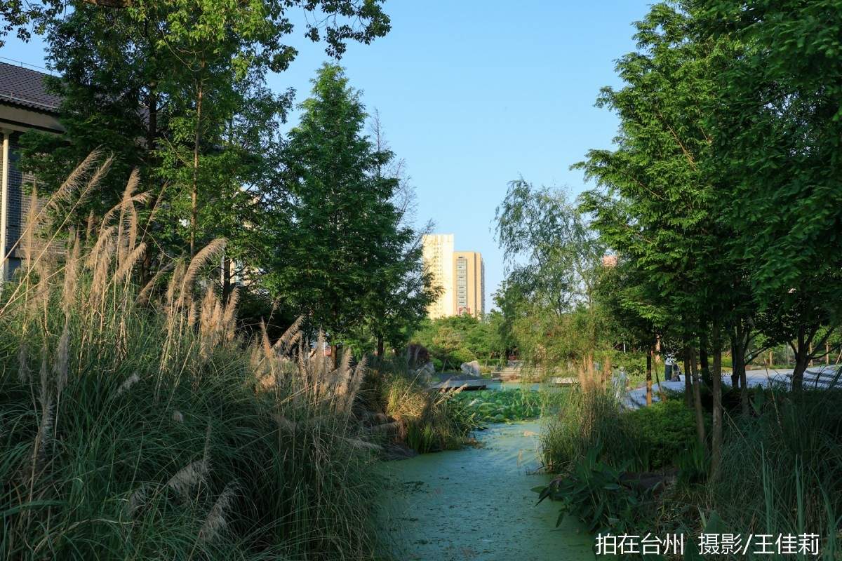 中央山路桥公园：台州生态人文双价值影视取景点位(图14)