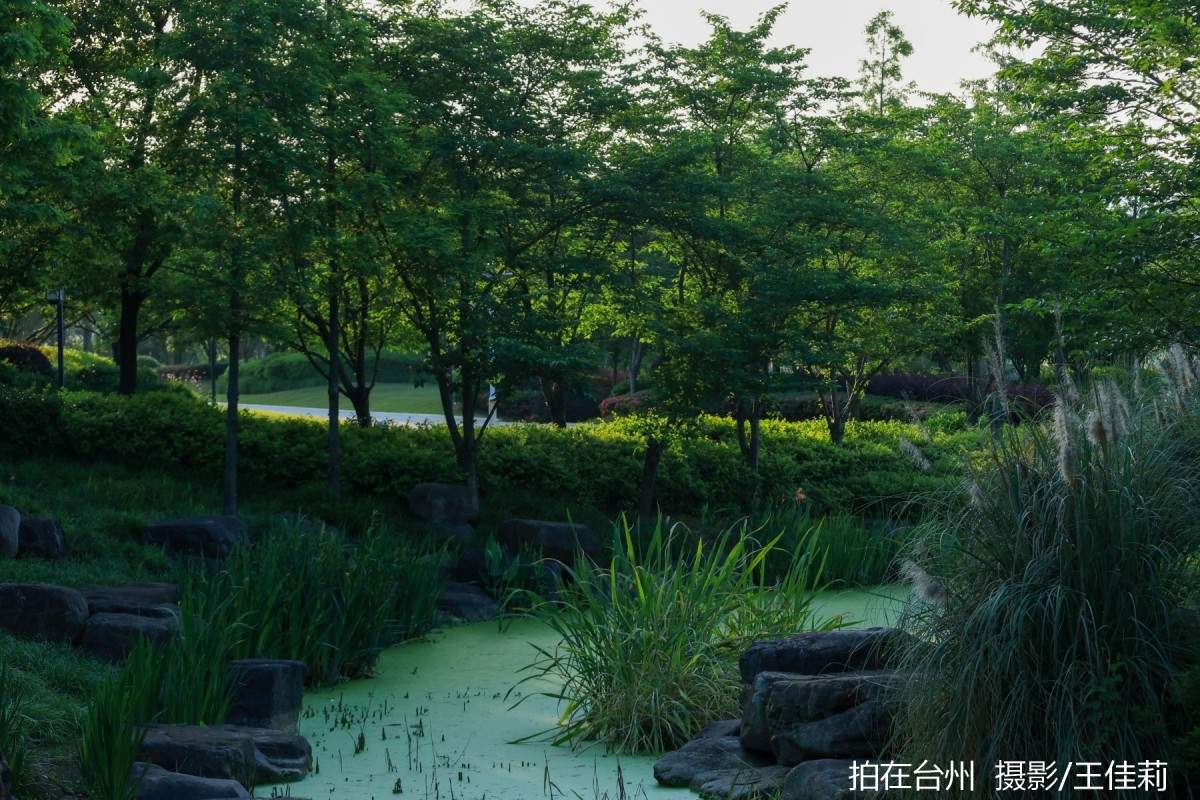 中央山路桥公园：台州生态人文双价值影视取景点位(图15)