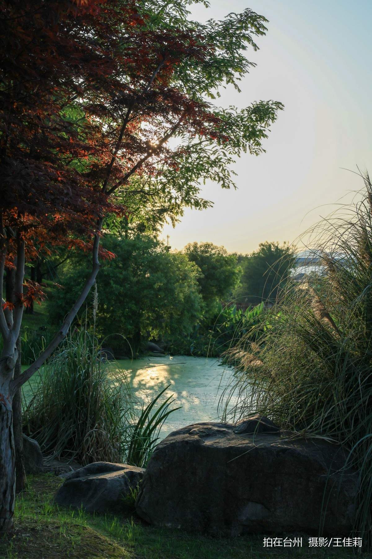 中央山路桥公园：台州生态人文双价值影视取景点位(图16)