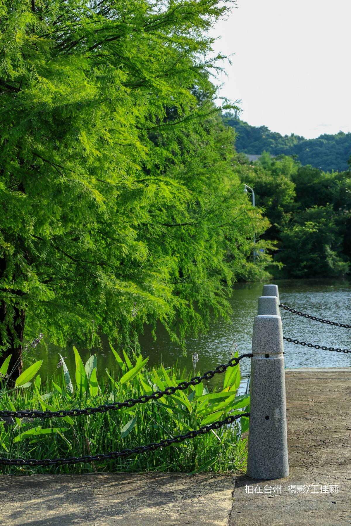 中央山路桥公园：台州生态人文双价值影视取景点位(图22)