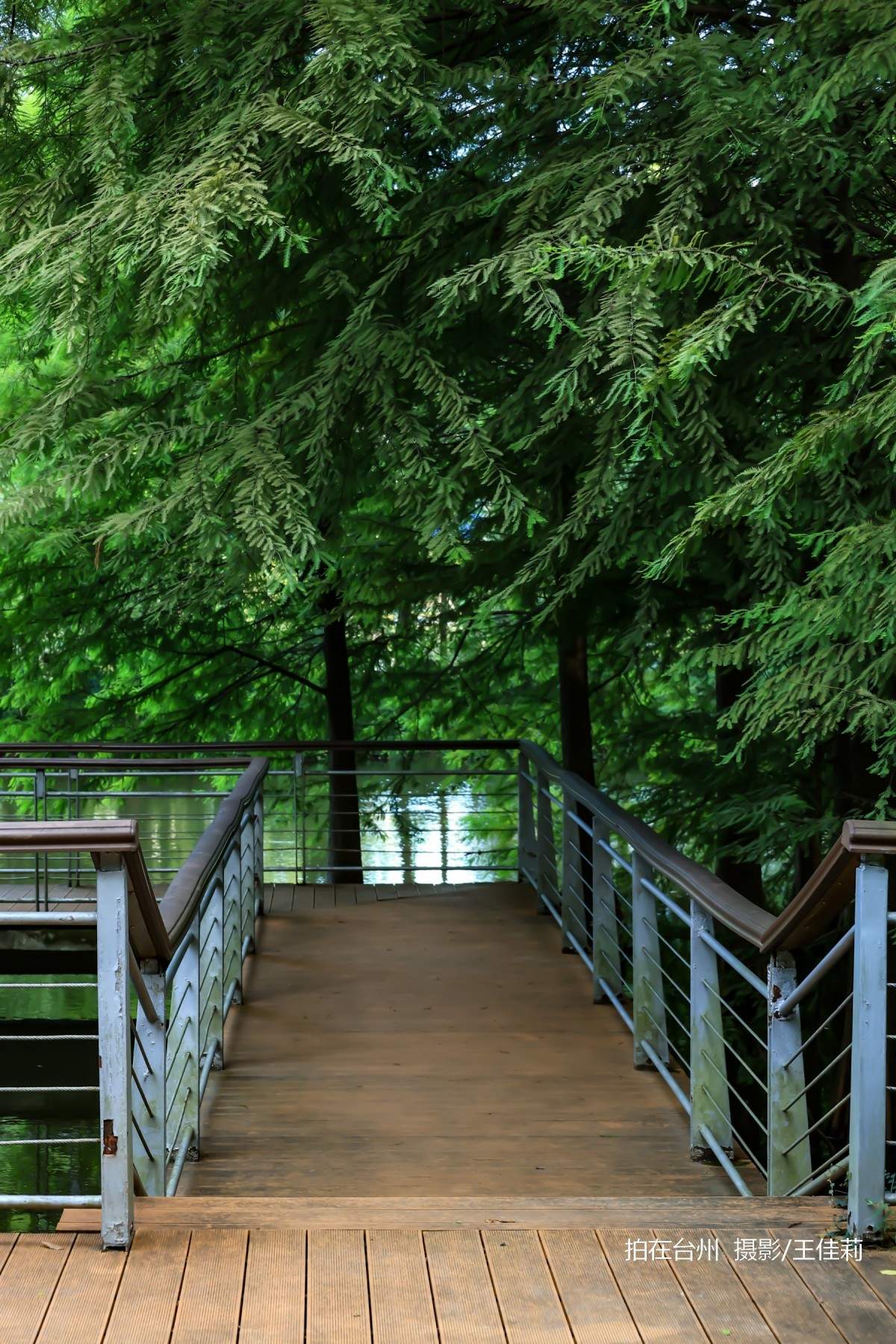 中央山路桥公园：台州生态人文双价值影视取景点位(图29)