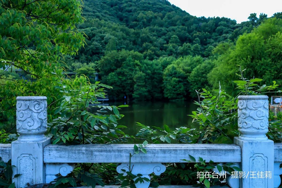 中央山路桥公园：台州生态人文双价值影视取景点位(图30)
