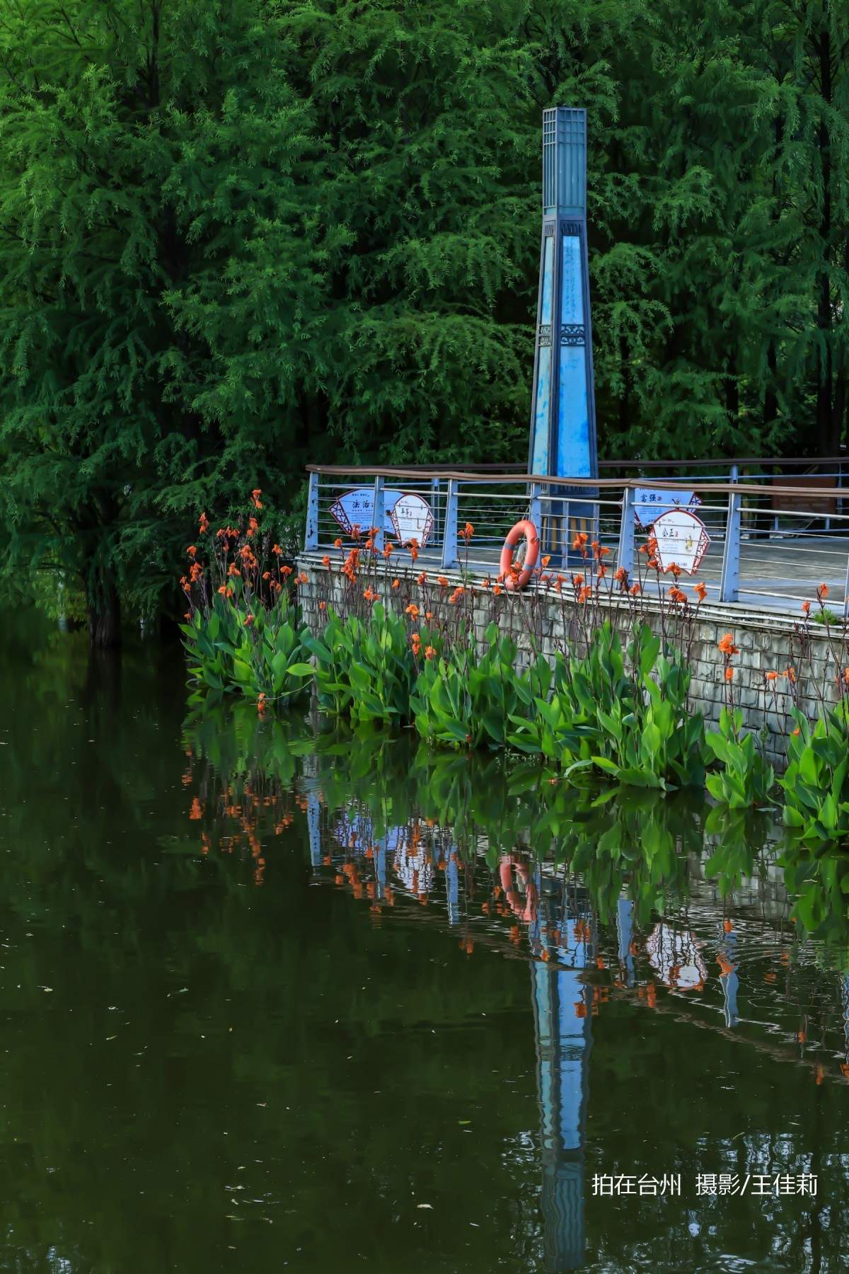 中央山路桥公园：台州生态人文双价值影视取景点位(图31)