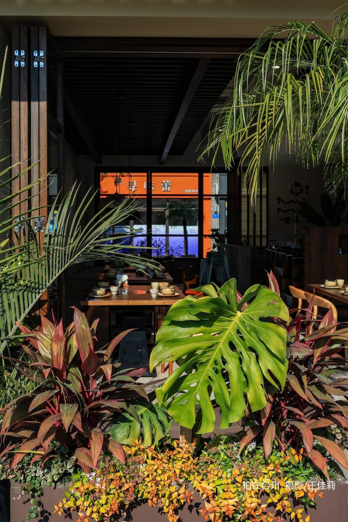 南官MIIIMIKI中餐厅：台州自然美学影视拍摄的核心点位(图7)