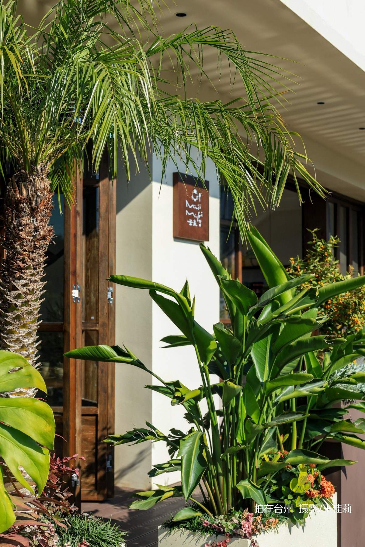 南官MIIIMIKI中餐厅：台州自然美学影视拍摄的核心点位(图10)