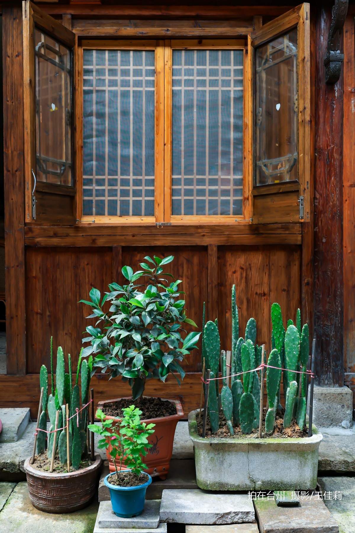 台州影视宝藏：路桥十里长街——千年商埠的影视画卷(图23)