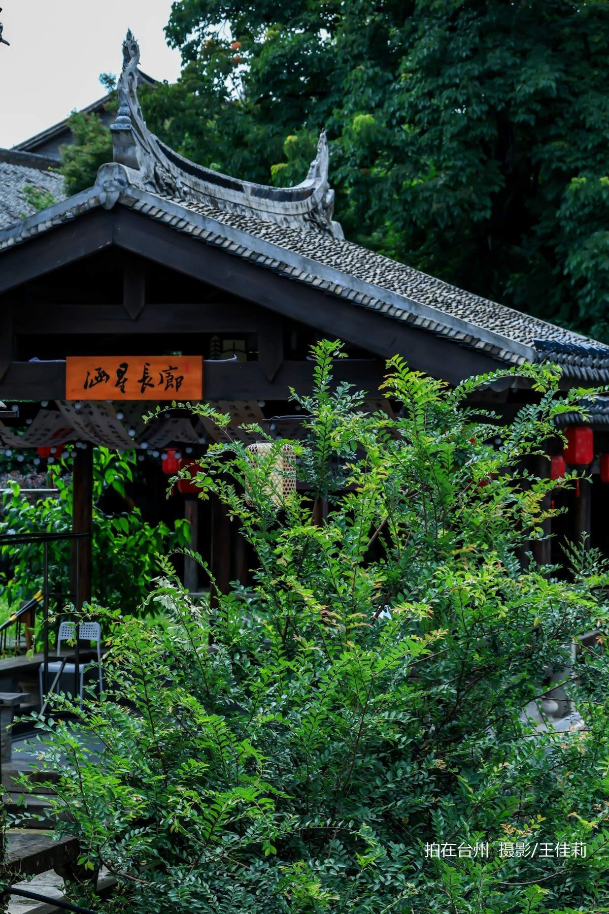 台州影视宝藏：路桥十里长街——千年商埠的影视画卷(图25)