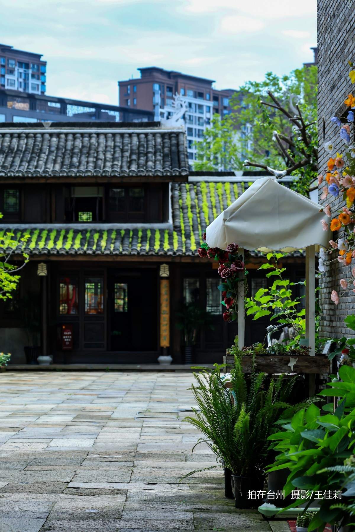 台州影视宝藏：路桥十里长街——千年商埠的影视画卷(图19)