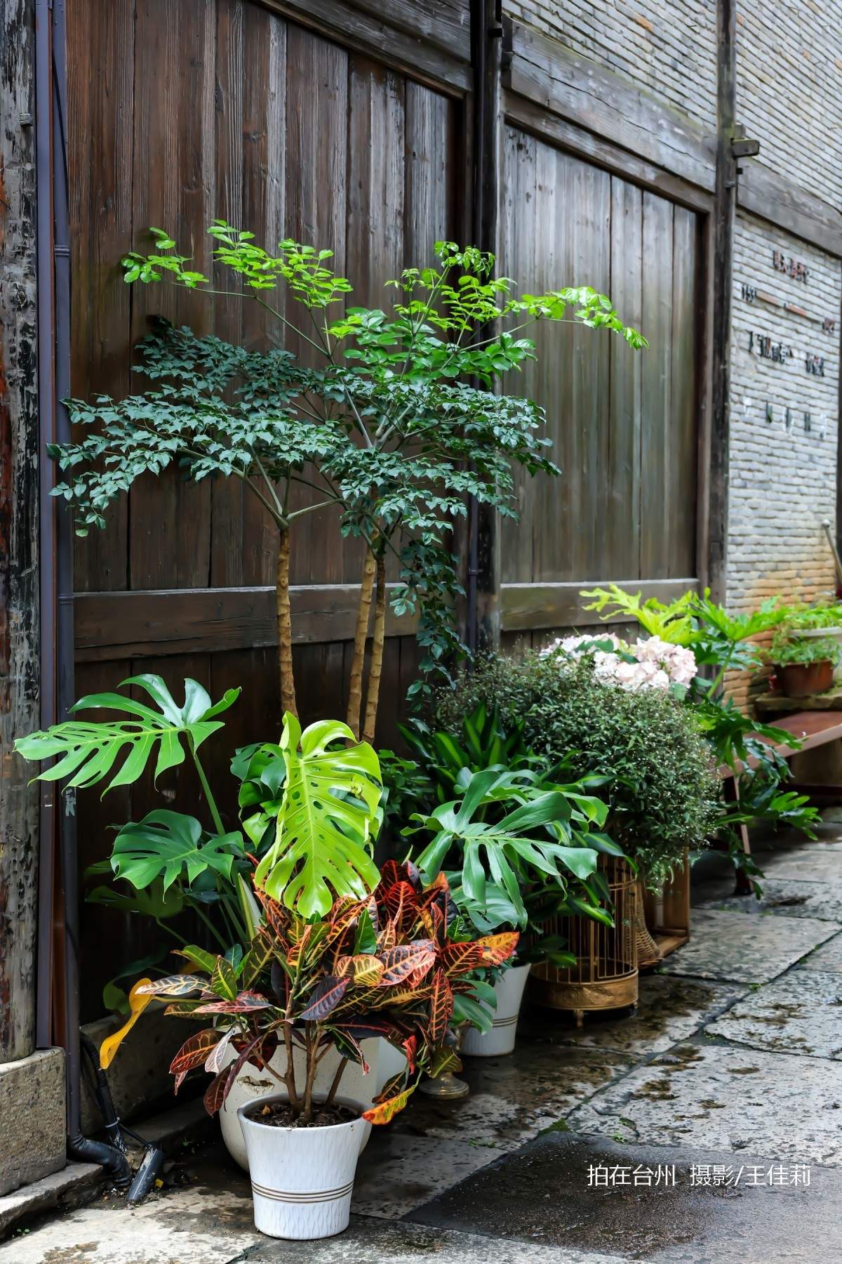 台州影视宝藏：路桥十里长街——千年商埠的影视画卷(图13)