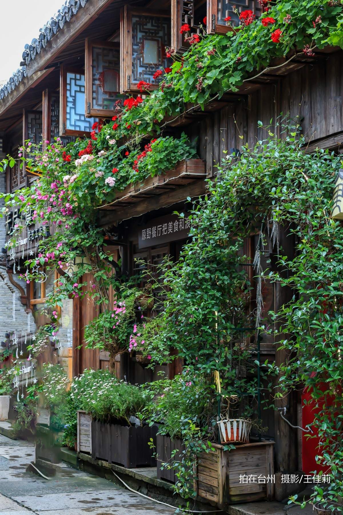 台州影视宝藏：路桥十里长街——千年商埠的影视画卷(图18)