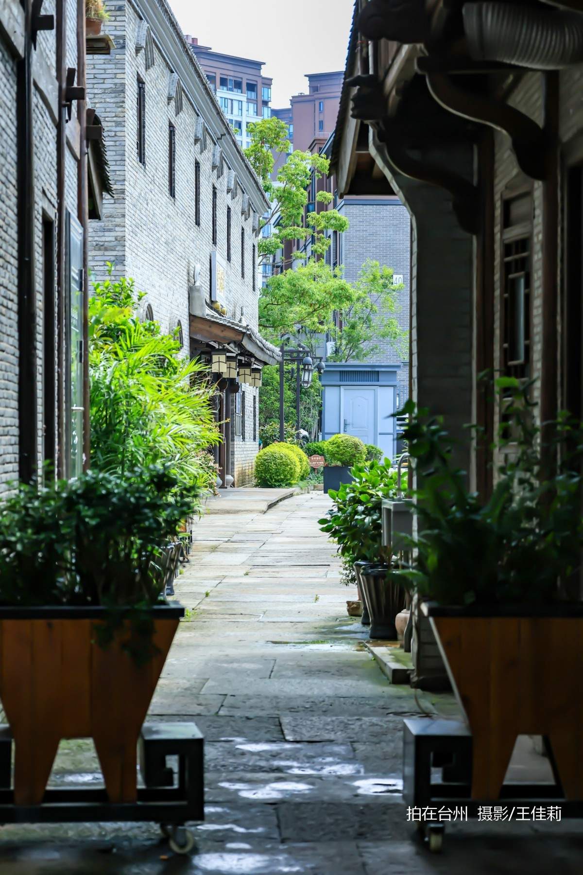 台州影视宝藏：路桥十里长街——千年商埠的影视画卷(图14)