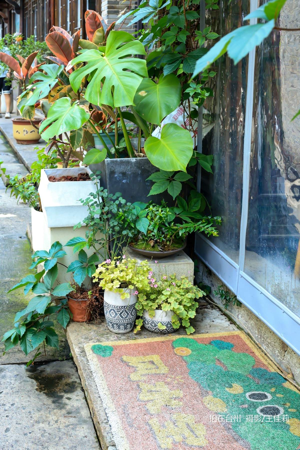 台州影视宝藏：路桥十里长街——千年商埠的影视画卷(图16)