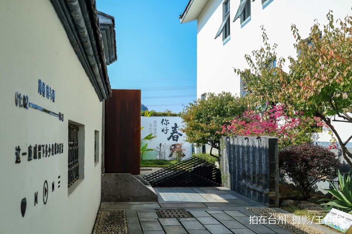 水心草堂书院：台州影视资源库中的“乡村文化明星点位”(图15)