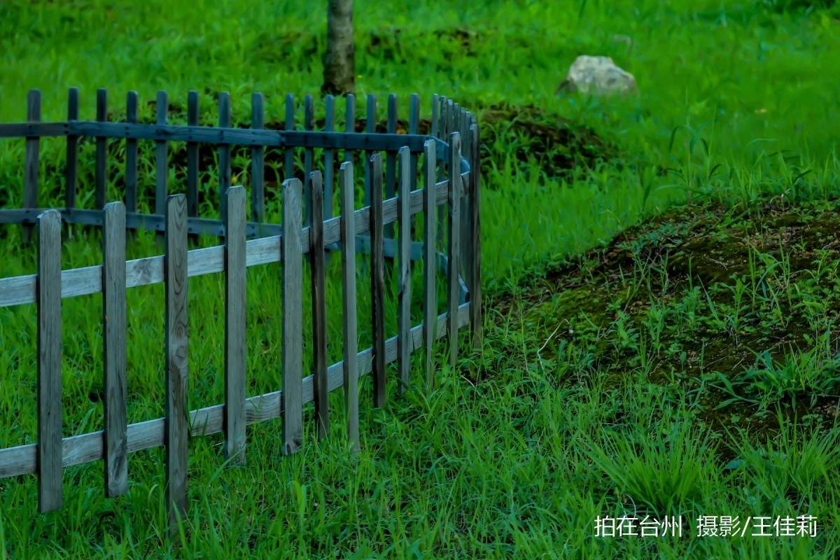 飞龙湖营地：台州自然户外影视拍摄的核心点位(图3)