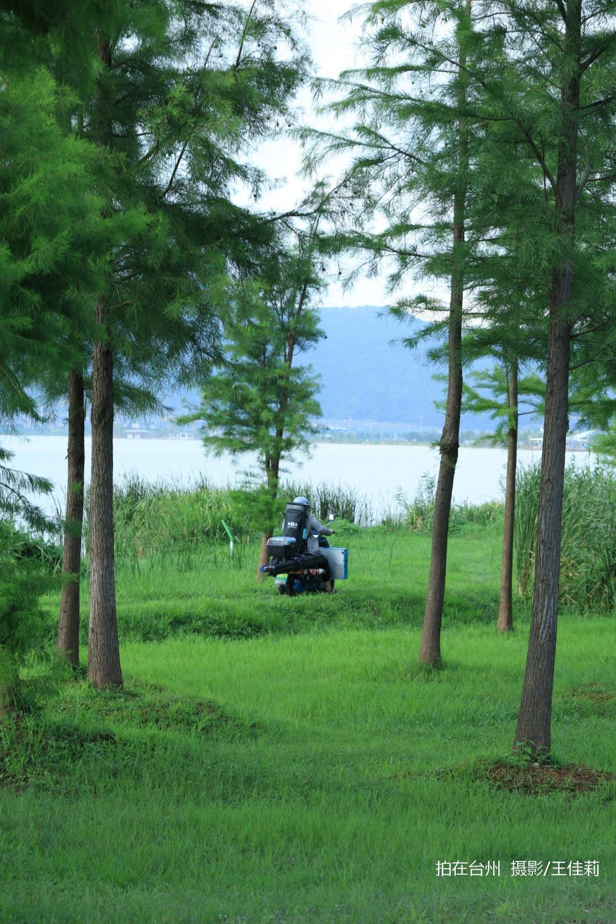 飞龙湖营地：台州自然户外影视拍摄的核心点位(图2)