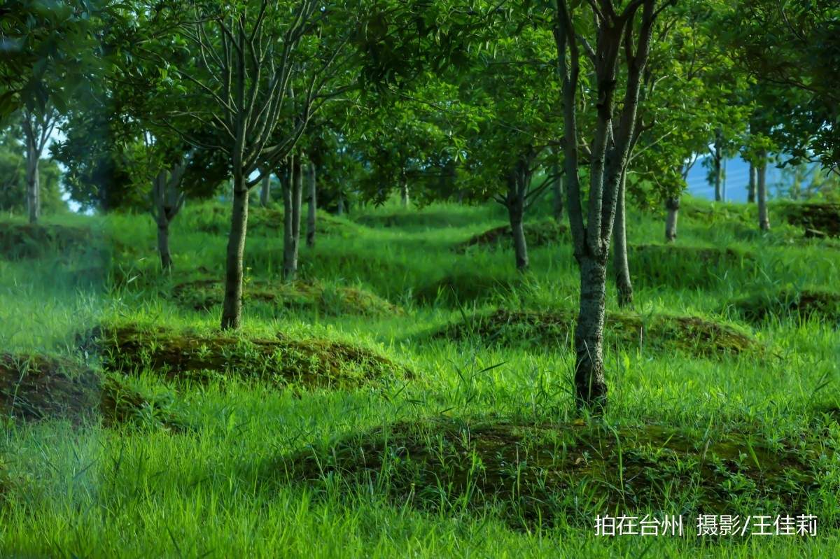 飞龙湖营地：台州自然户外影视拍摄的核心点位(图5)