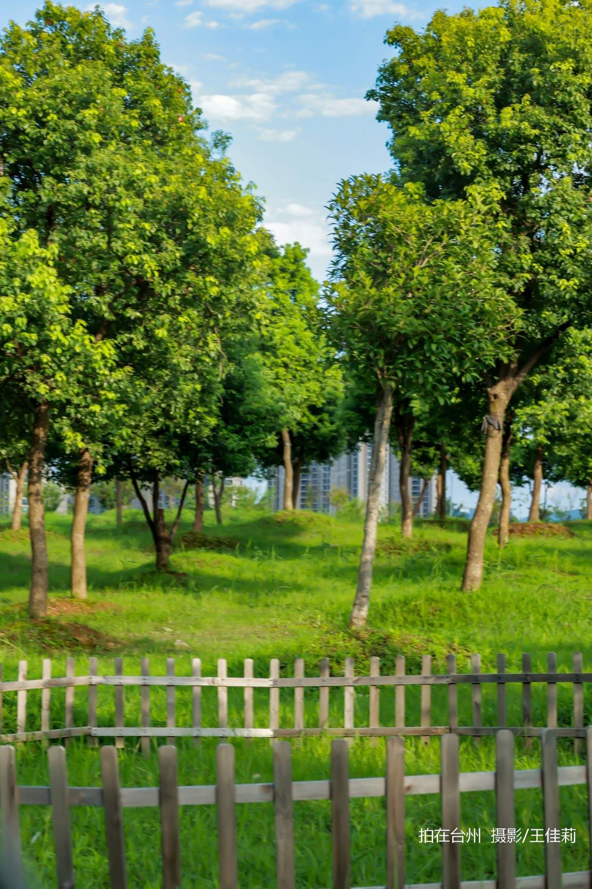 飞龙湖营地：台州自然户外影视拍摄的核心点位(图4)