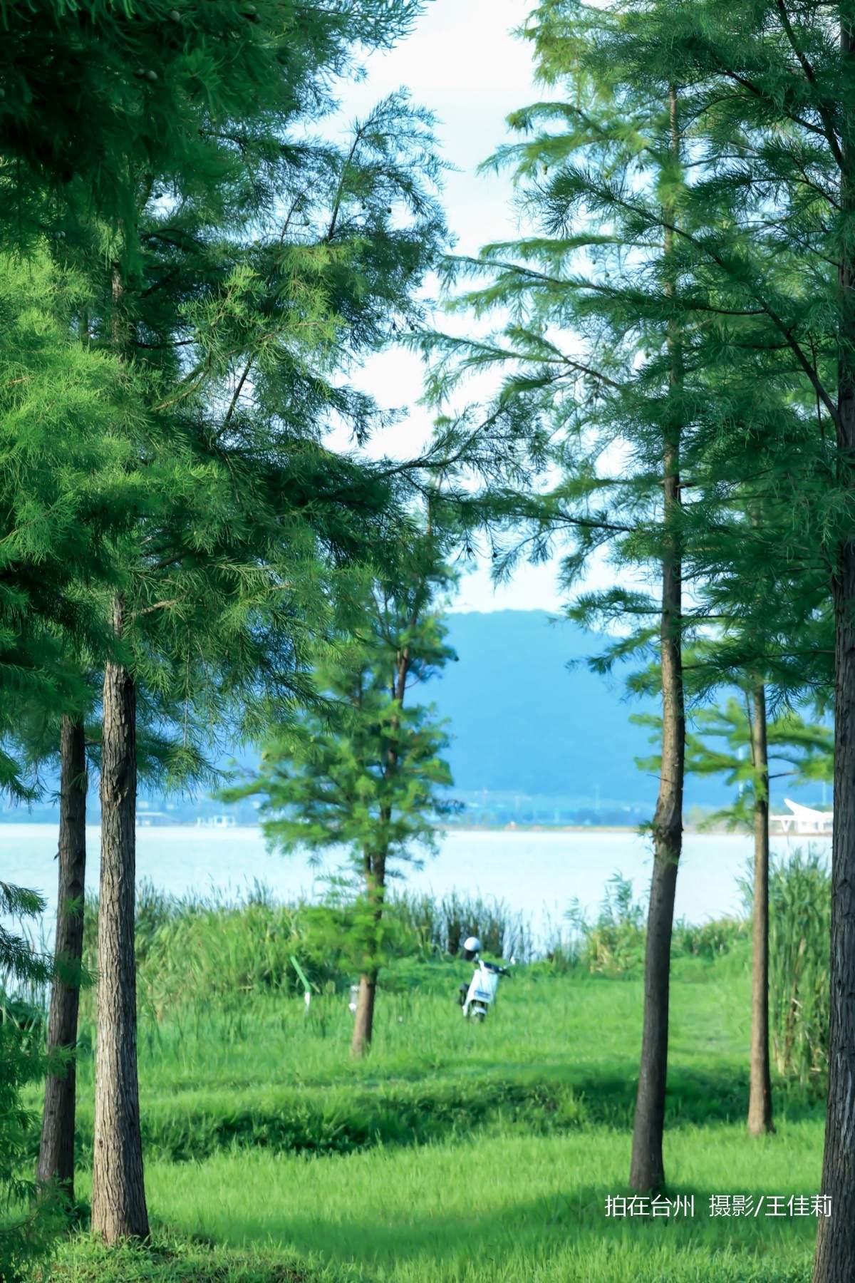 飞龙湖营地：台州自然户外影视拍摄的核心点位(图10)