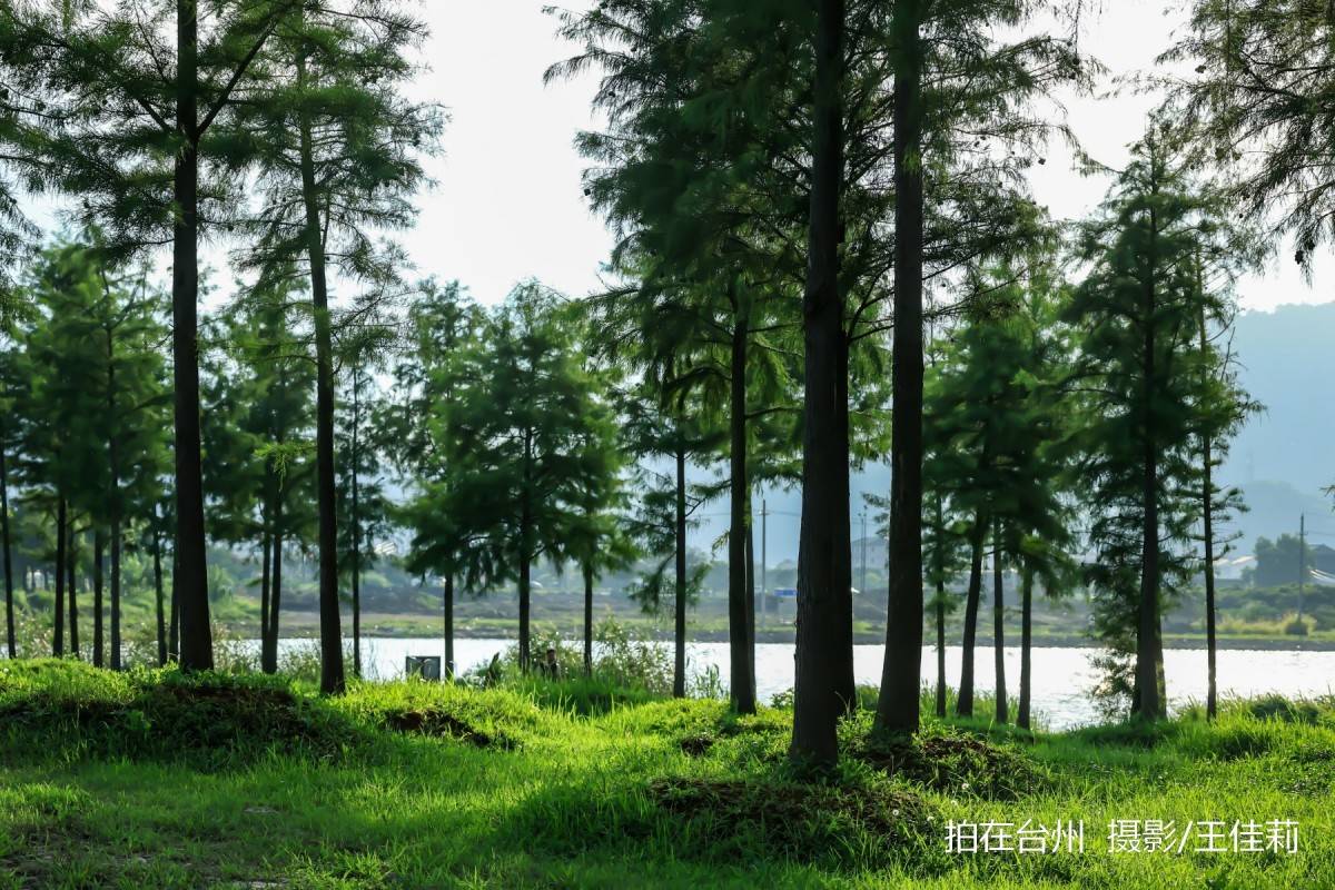 飞龙湖营地：台州自然户外影视拍摄的核心点位(图11)