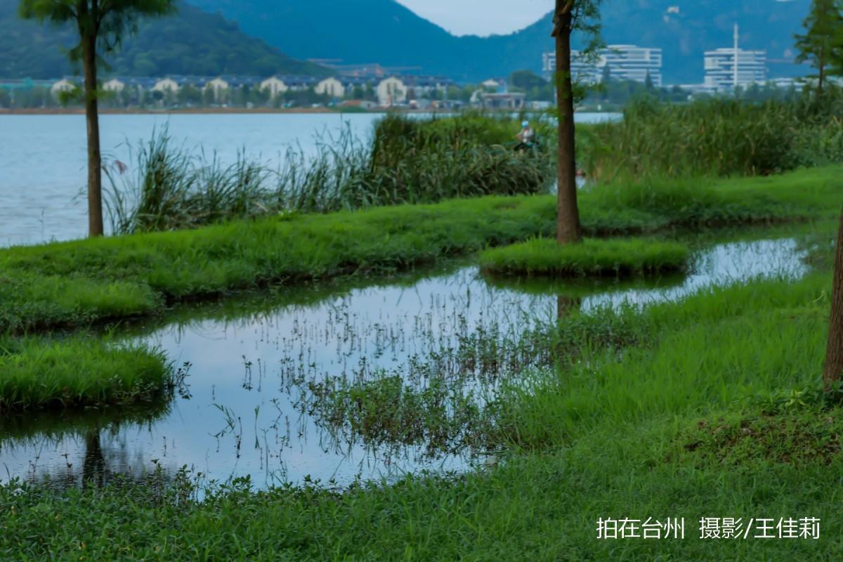 飞龙湖营地：台州自然户外影视拍摄的核心点位(图14)