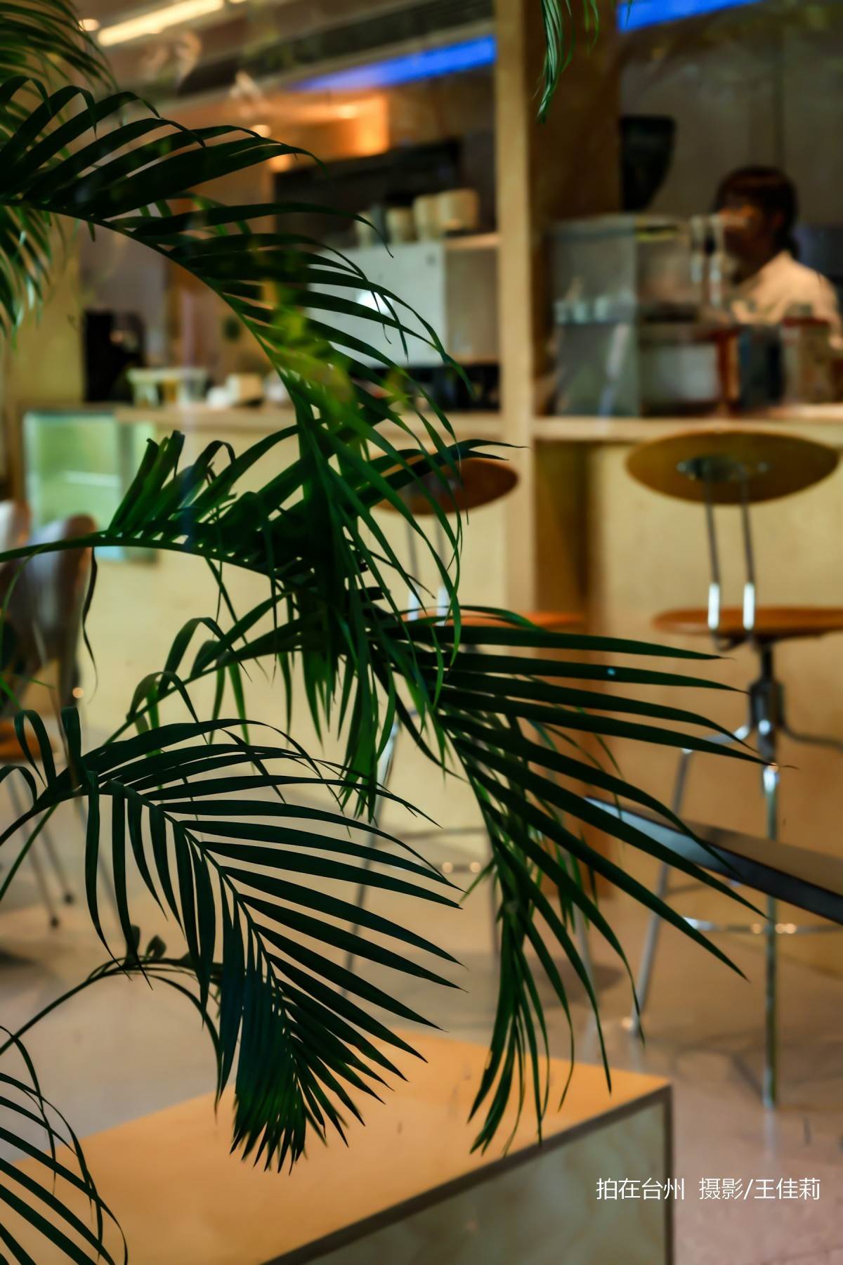 三月旷野(中央山公园店)自然绿道与现代咖啡空间融合的治愈空间(图4)