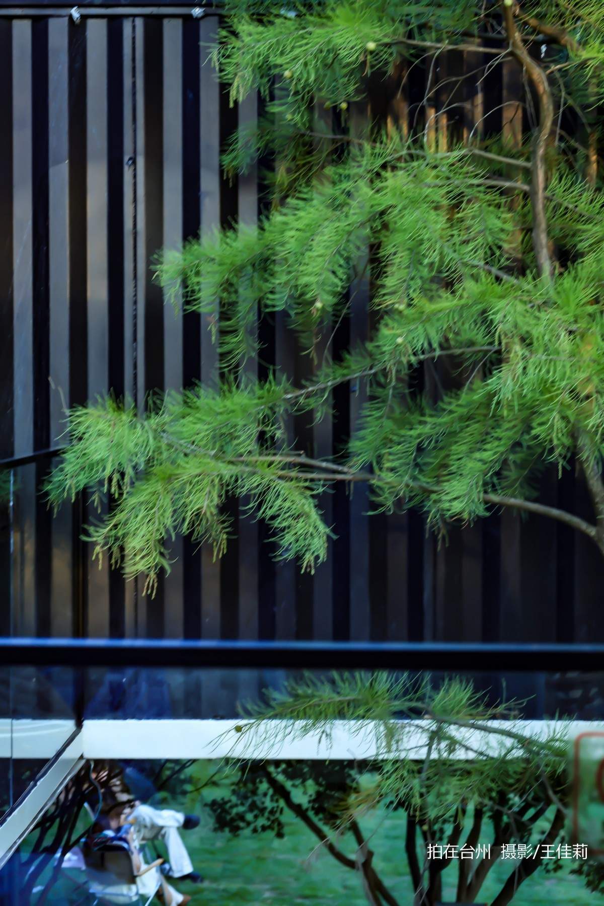 三月旷野(中央山公园店)自然绿道与现代咖啡空间融合的治愈空间(图7)