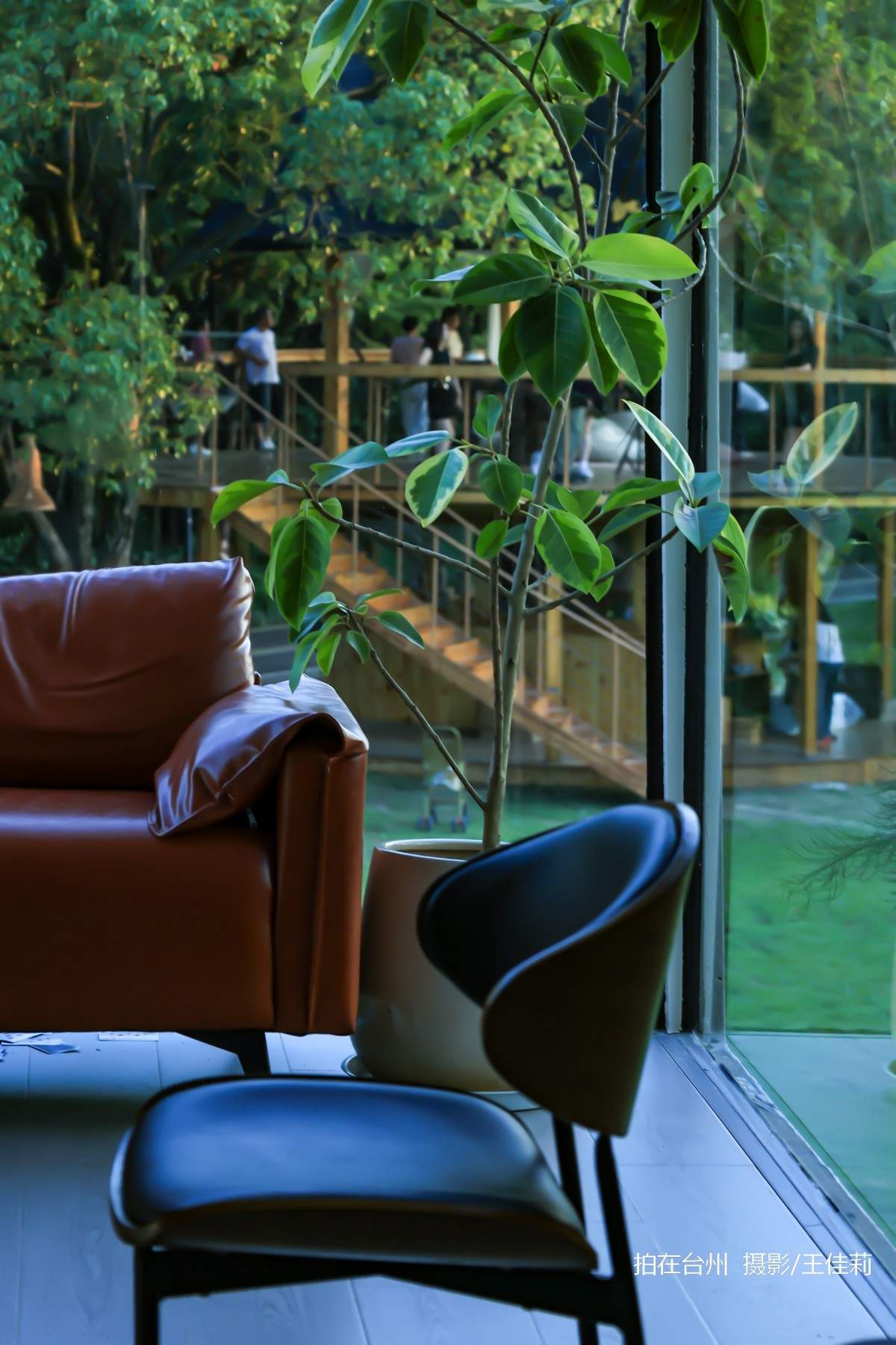 三月旷野(中央山公园店)自然绿道与现代咖啡空间融合的治愈空间(图9)