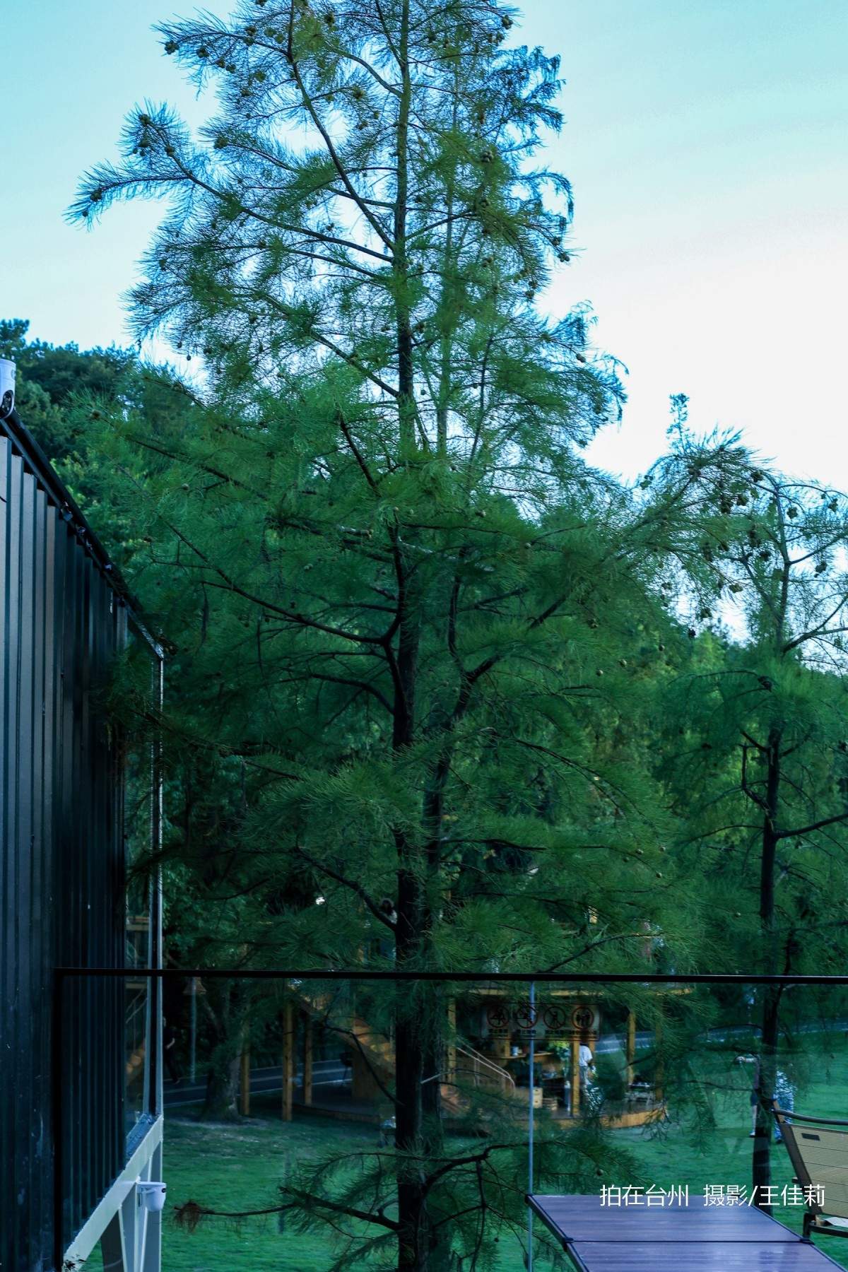 三月旷野(中央山公园店)自然绿道与现代咖啡空间融合的治愈空间(图12)