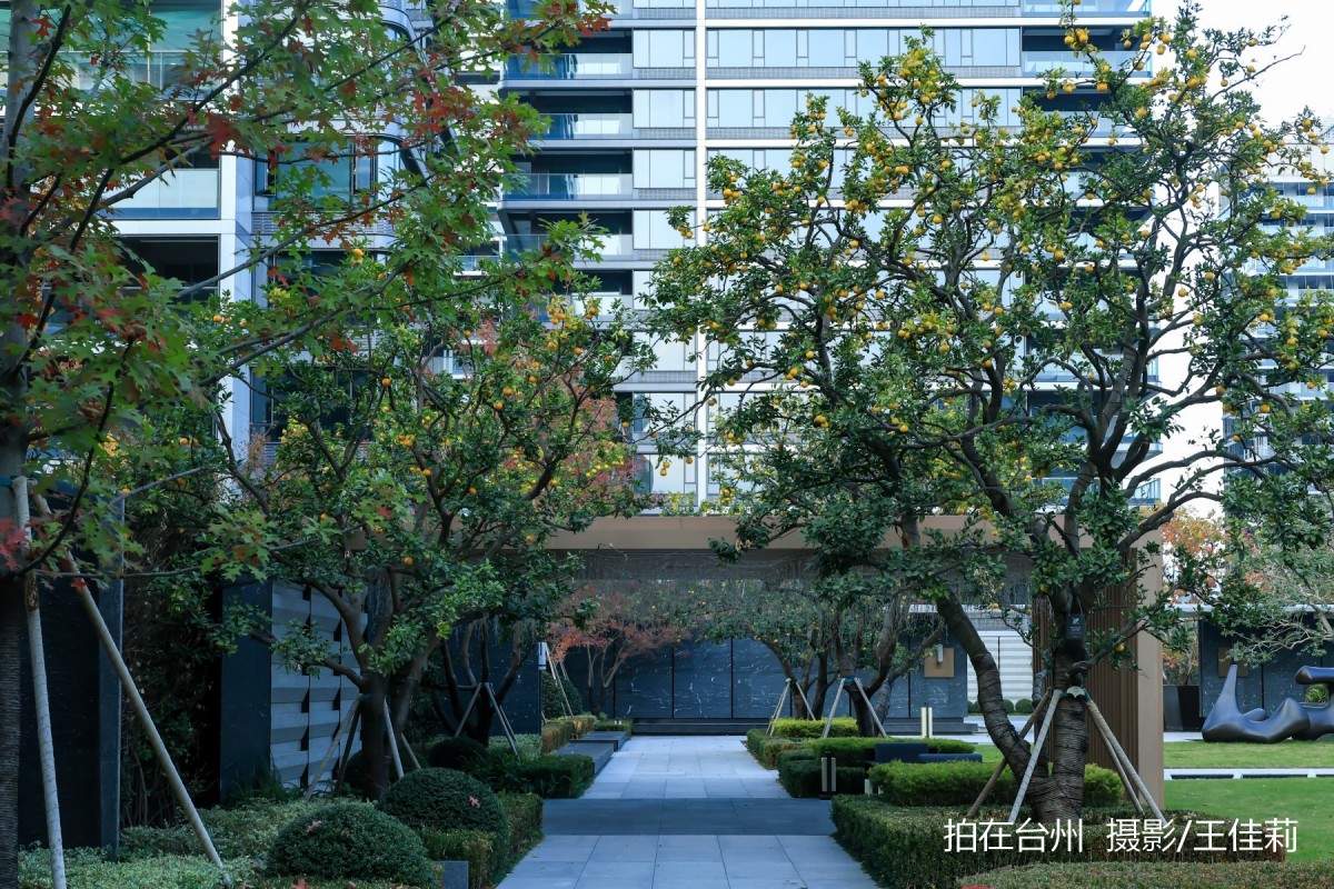 路桥四季辰院美学生活馆,集小区会所、游泳池、综合体办公楼于一体的美术空间(图2) 路桥四季辰院美学生活馆,集小区会所、游泳池、综合体办公楼于一体的美术空间(图2)