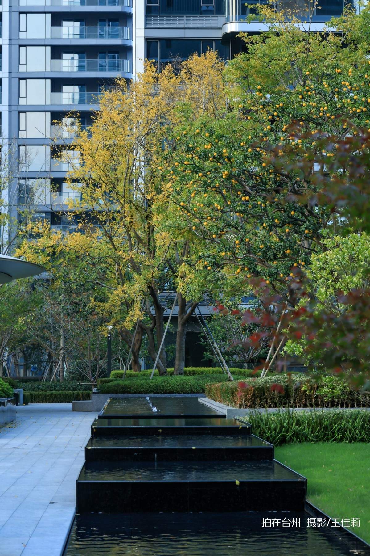 路桥四季辰院美学生活馆,集小区会所、游泳池、综合体办公楼于一体的美术空间(图7) 路桥四季辰院美学生活馆,集小区会所、游泳池、综合体办公楼于一体的美术空间(图7)