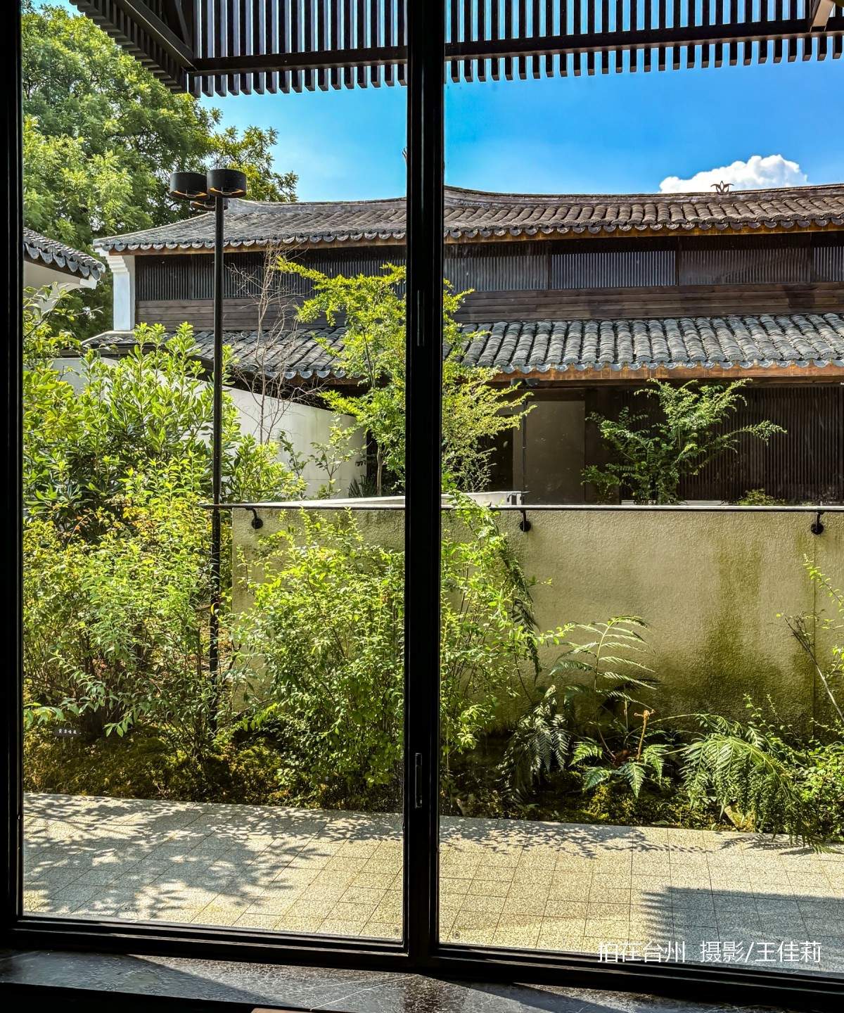 新桥镇耕读堂图书馆——田园中的书香影视取景地(图4)