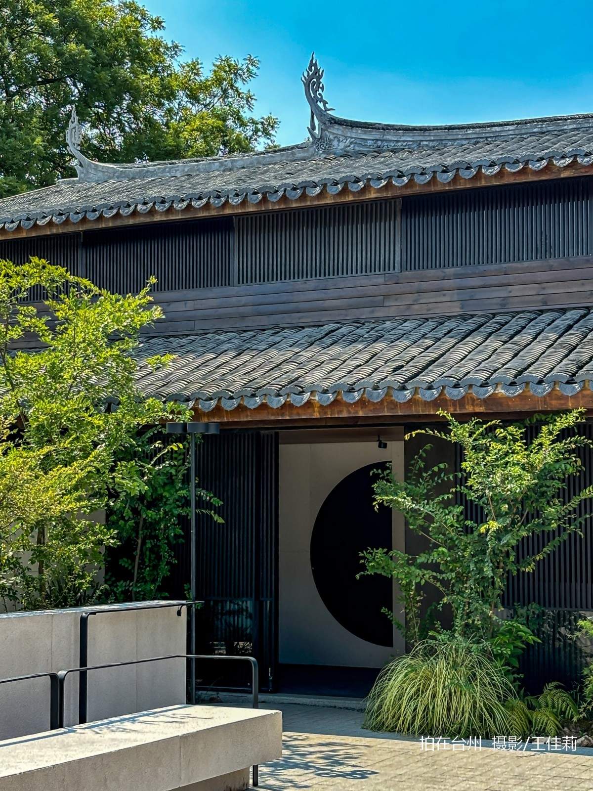 新桥镇耕读堂图书馆——田园中的书香影视取景地(图6)