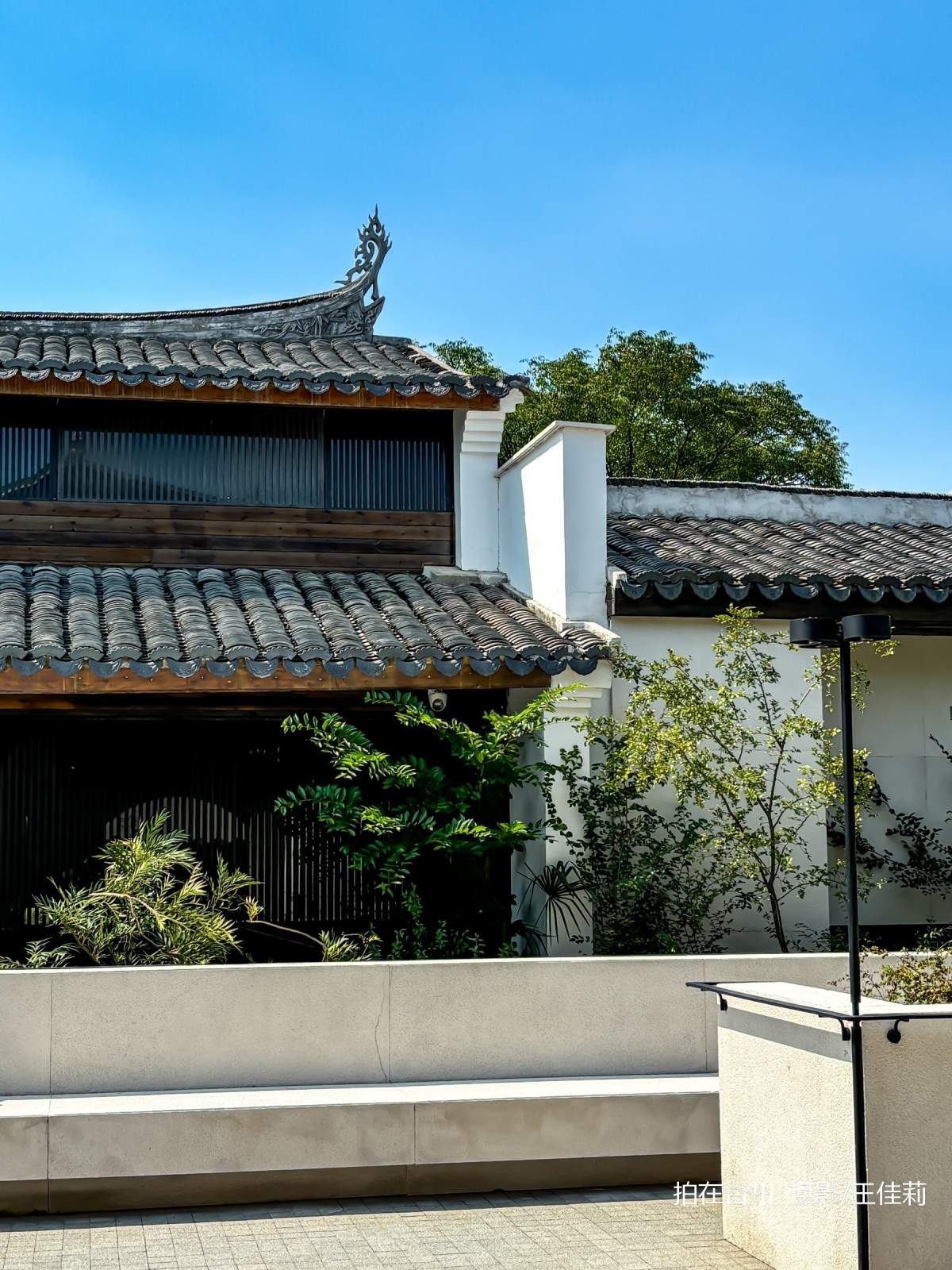 新桥镇耕读堂图书馆——田园中的书香影视取景地(图7)