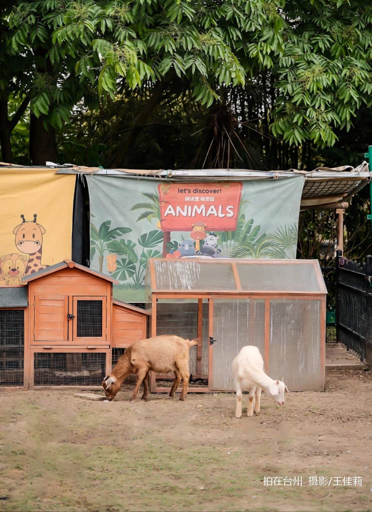 新桥镇耕读堂图书馆——田园中的书香影视取景地(图10)