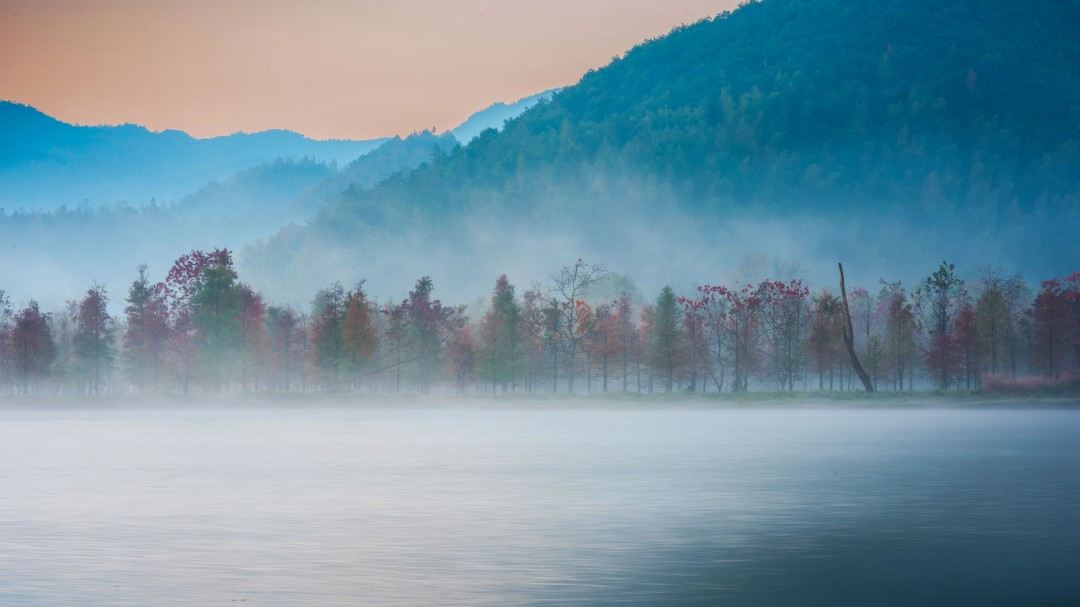 黄岩上垟乡（北洋镇）红杉林——水上森林的影视取景地治愈(图6)