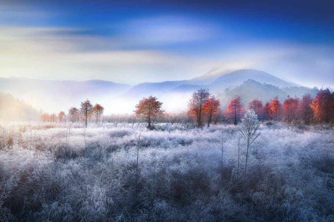 黄岩上垟乡（北洋镇）红杉林——水上森林的影视取景地治愈(图4)
