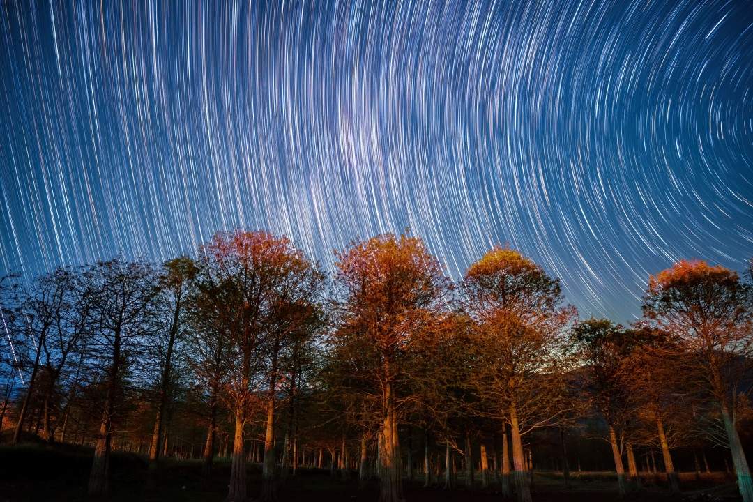 黄岩上垟乡（北洋镇）红杉林——水上森林的影视取景地治愈(图7)