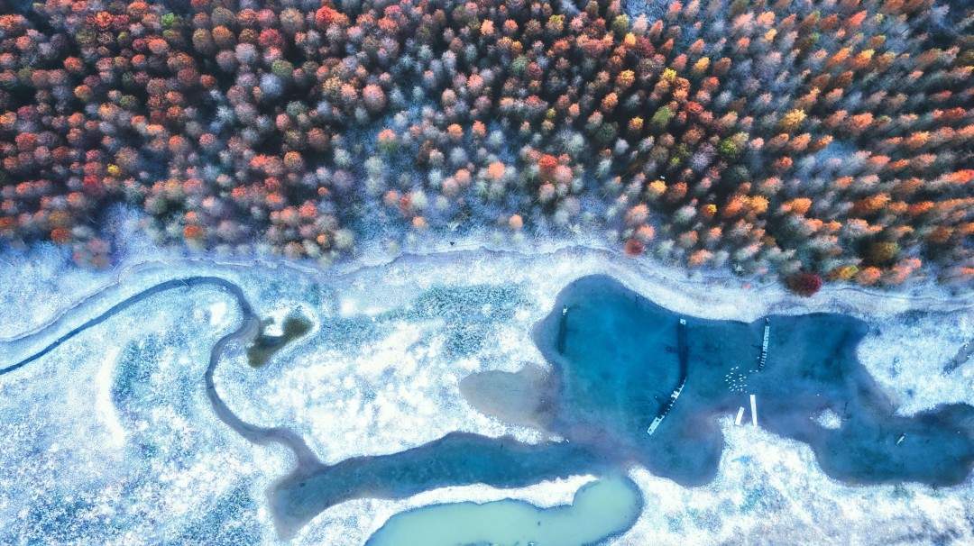 黄岩上垟乡（北洋镇）红杉林——水上森林的影视取景地治愈(图9)