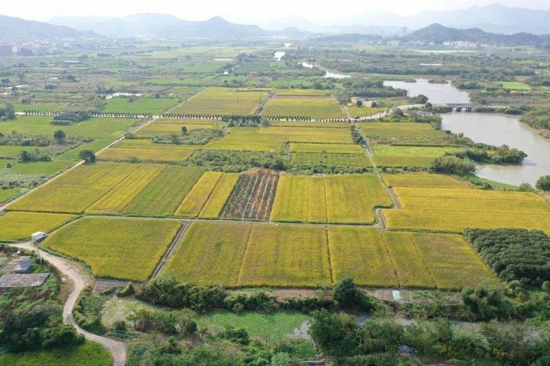 黄岩区鉴洋湖城市湿地公园(图3)