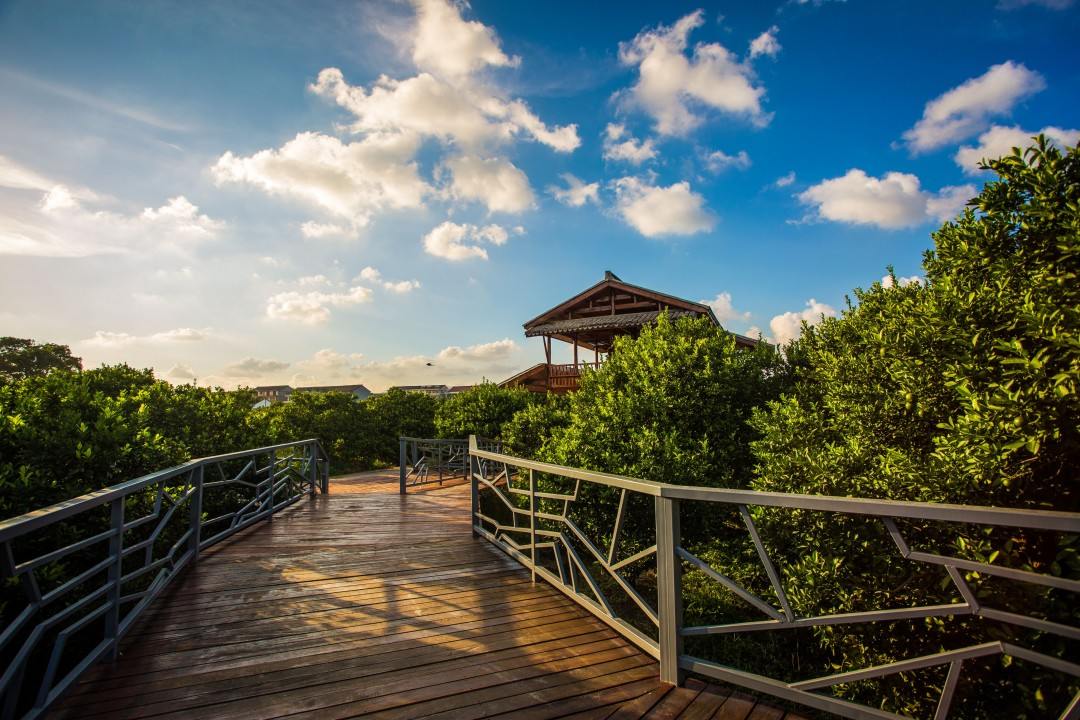 黄岩南城城市贡橘园(图1)