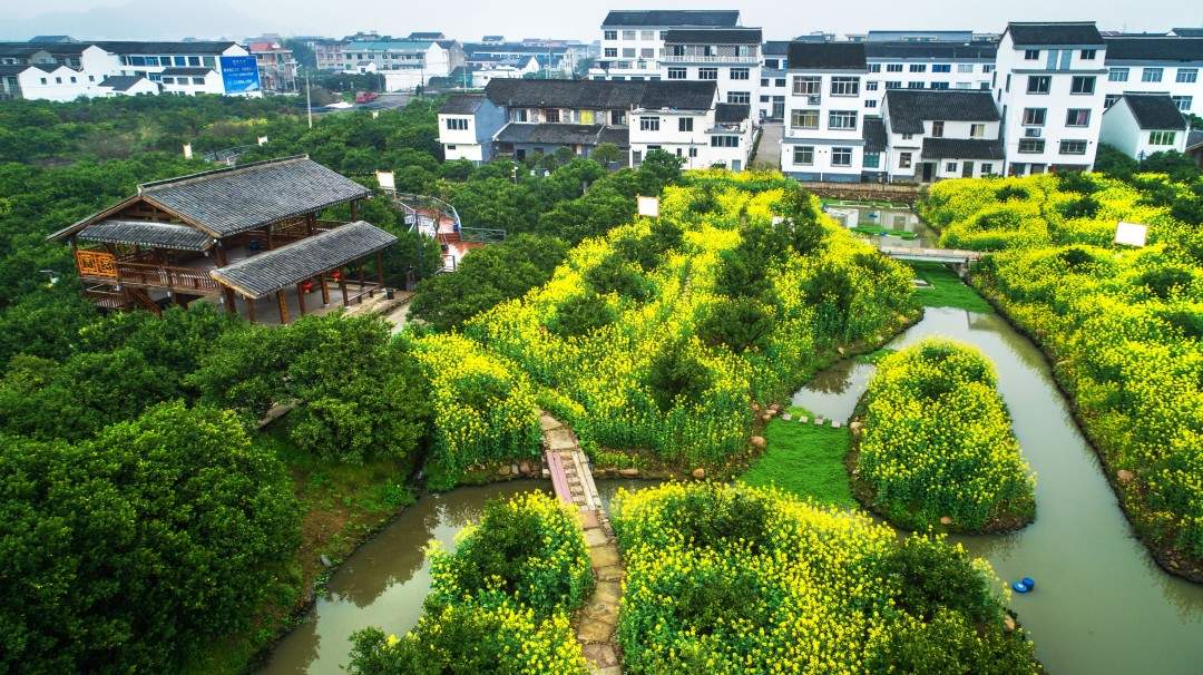 黄岩南城城市贡橘园